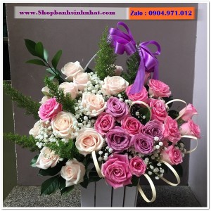 Hoa Tươi Tặng Khai Trương - OK20